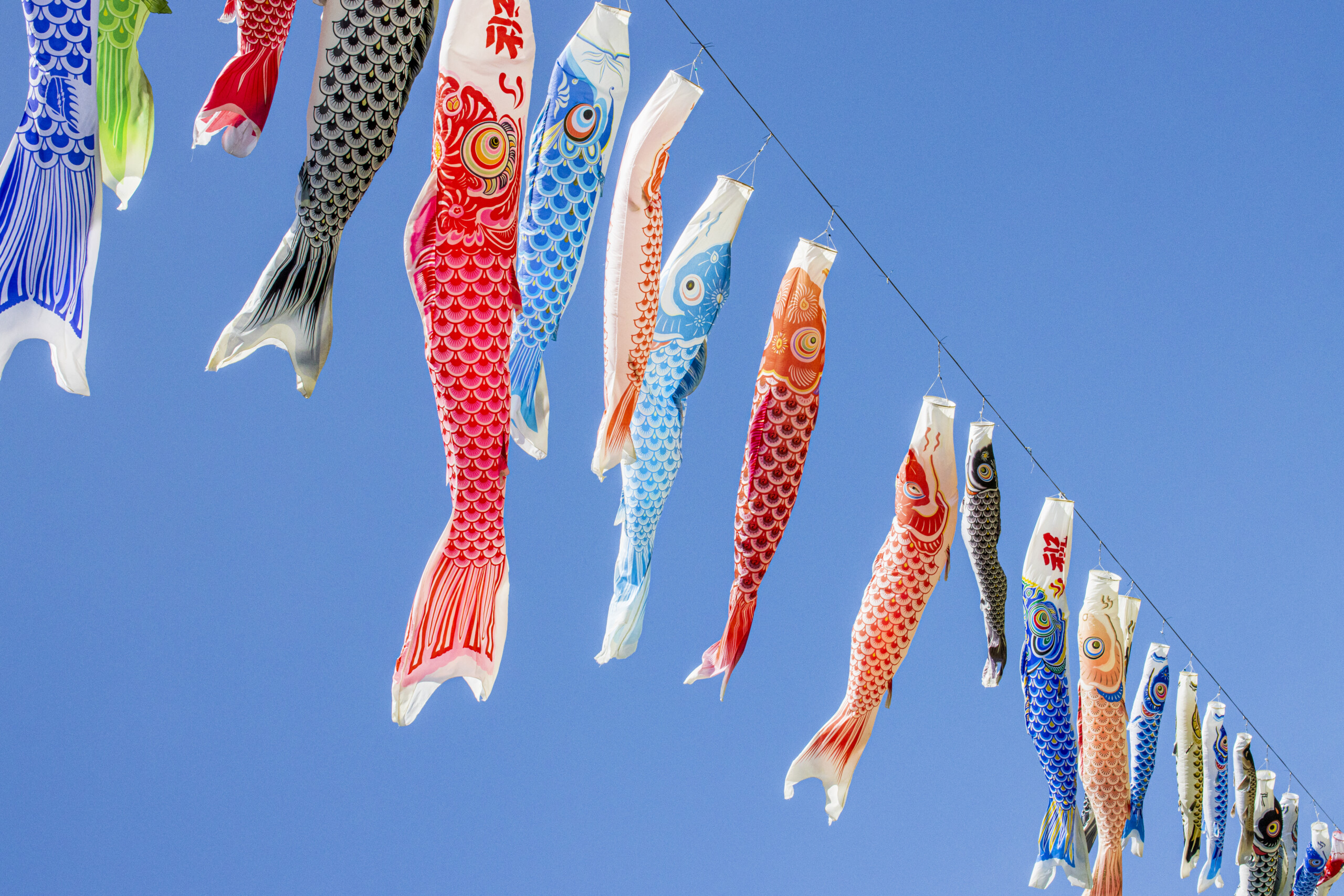 鯉魚旗（こいのぼり） - JAPANIST